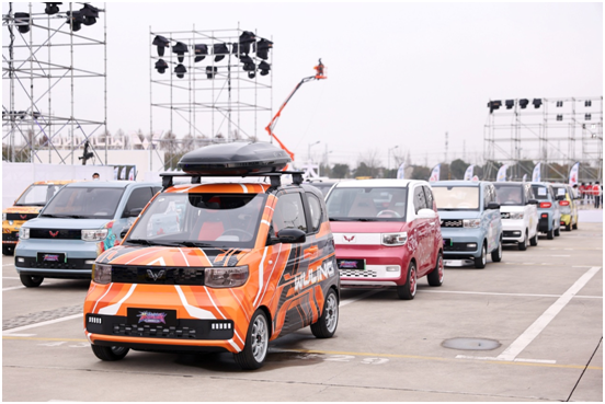 China's EV capital Liuzhou a model for world: media